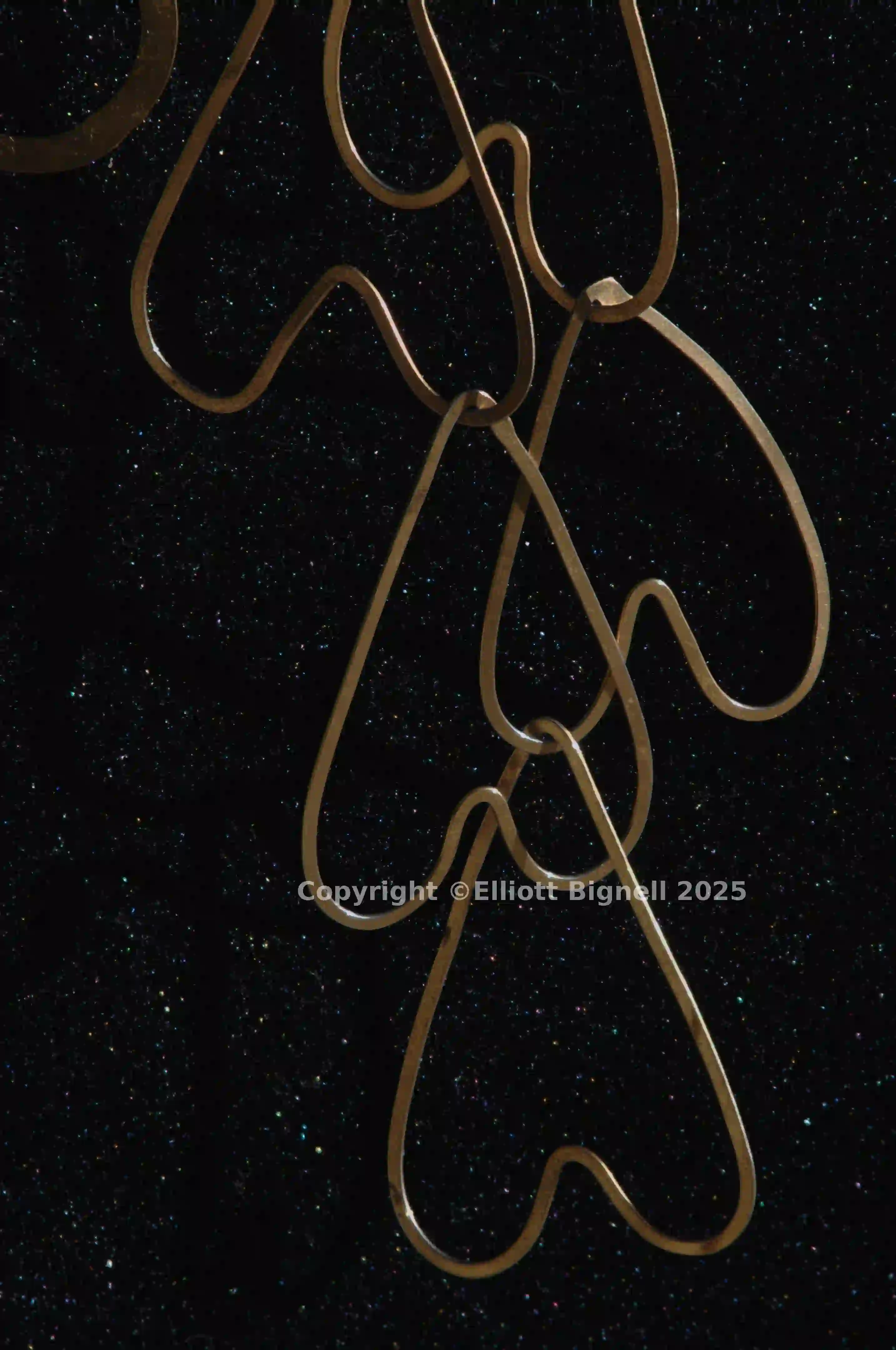 2013-11-12-19.40.11 ZS PMax.jpg